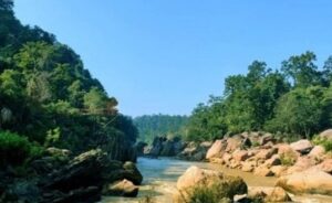 Odisha's Gupteswar Forest declared the state’s 4th Biodiversity Heritage Site