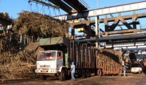 NCLT approves Indian Sugar Manufacturing’s acquisition by Sri Dutt Biofuels Pvt Ltd