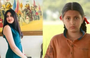 Dangal' child star Suhani Bhatnagar passes away 