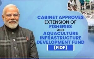 Cabinet approves extension of Fisheries and Aquaculture Infrastructure Development Fund (FIDF)