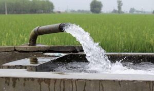 Uttar Pradesh government waives farmers’ power bills for private tube wells