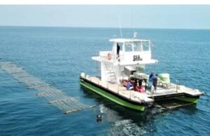Sea6 Energy launches world's first large-scale mechanized tropical seaweed farm off the coast of Lombok, Indonesia