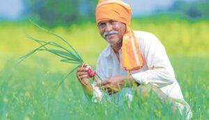 Chhattisgarh govt launches input assistance scheme for farmers, transfers Rs 13,320 cr