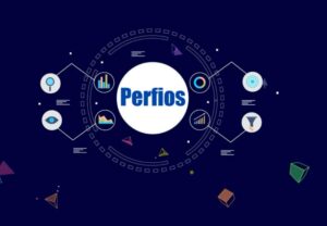 Fintech co Perfios becomes India's 2nd unicorn of year 2024