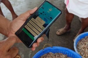 CMFRI launches mobile app to encourage public participation in marine fisheries research 