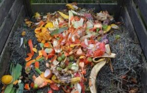 UNEP Report: Globally, Around 19% of the Food Produced was Wasted in 2022