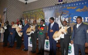 KAZA Summit 2024: Leaders decide to fight ivory trade ban at CITES CoP20